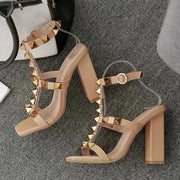 Talons hauts tendance pour femmes.