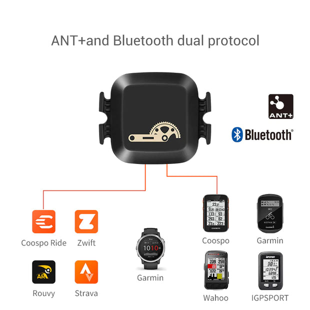 Moniteur de fréquence cardiaque Beautysky avec protocole ANT+ et Bluetooth pour le suivi sportif