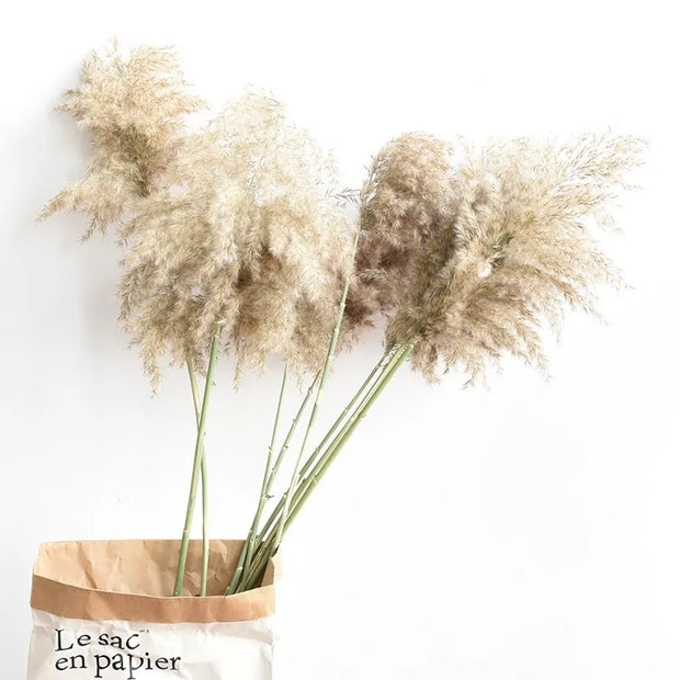 Brins de décoration maison herbe de la pampa dans un sac en papier pour un style bohème