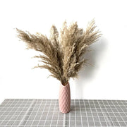 Vase rose avec des herbes de la pampa pour une décoration maison élégante