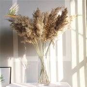Bouquet de pampa décoratif dans un vase, idéal pour la décoration maison herbe de la pampa