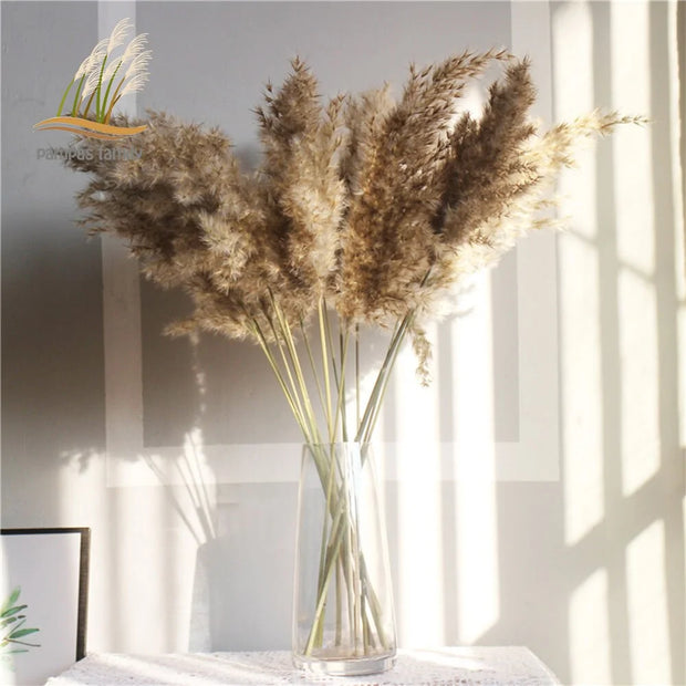 Bouquet de pampa décoratif dans un vase, idéal pour la décoration maison herbe de la pampa