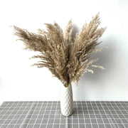 Vase blanc avec herbe de la pampa pour une décoration maison élégante et naturelle