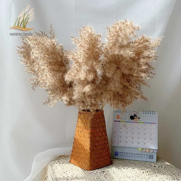 Vase en osier rempli d'herbe de la pampa pour une décoration maison herbe de la pampa élégante