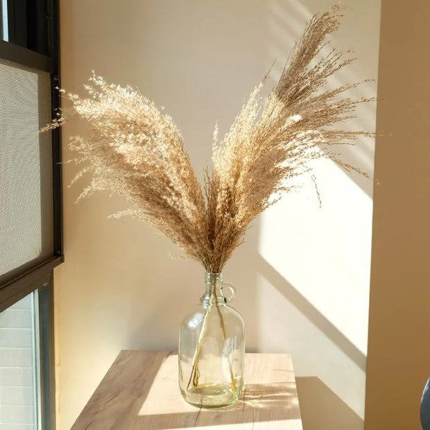 Vase en verre avec des fleurs séchées de décoration maison herbe de la pampa sur une table en bois