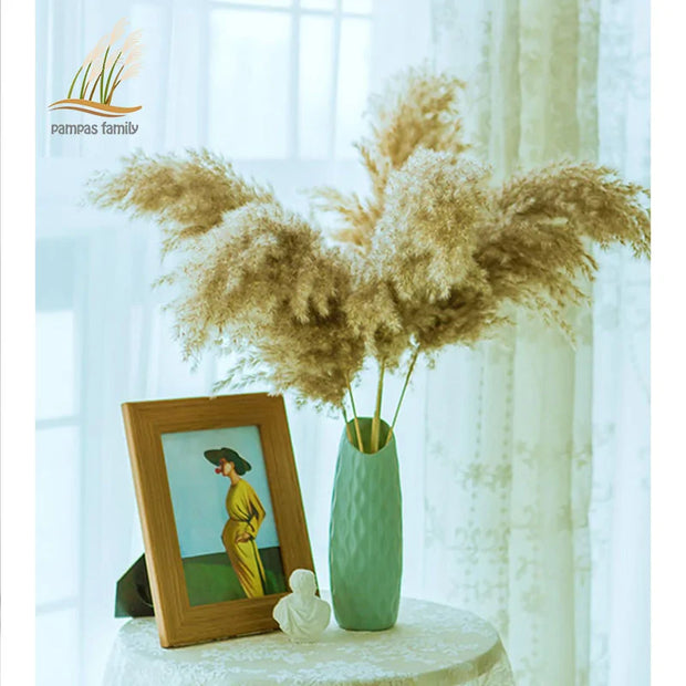 Vase turquoise avec des herbes de la pampa pour une décoration maison herbe de la pampa élégante