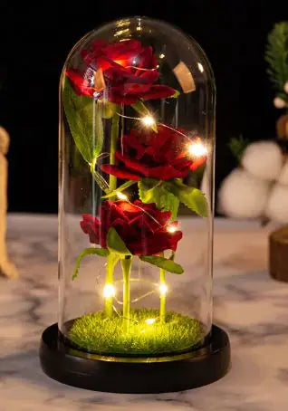 Roses sous cloche verre avec éclairage LED, décoration intérieure élégante pour une ambiance romantique