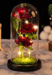 Roses sous cloche verre avec éclairage LED et base en bois pour décoration intérieure élégante