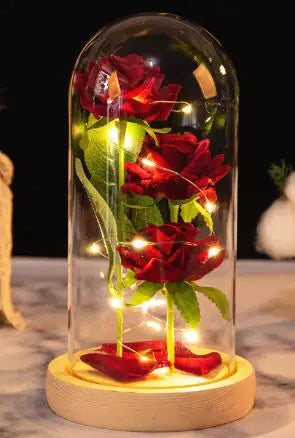 Roses sous cloche verre avec éclairage LED, décoration intérieure élégante de Beautysky